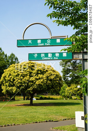 さいたま、大崎公園、こどもどうぶつえん、やぎ、鳥、鹿、看板、埼玉県、日本、動物、動物園、 さいたま、大崎公園、こどもどうぶつえん、やぎ、鳥、鹿、看板、埼玉県、日本、動物、動物園、 106678487
