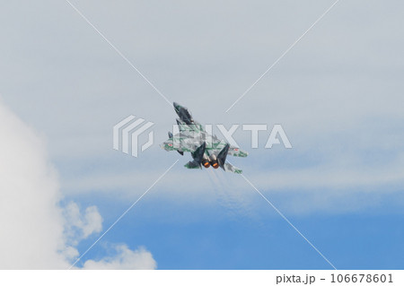 航空自衛隊飛行教導群F-15DJイーグル上昇 106678601