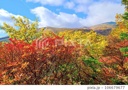 安達太良山山麓の紅葉 106679677