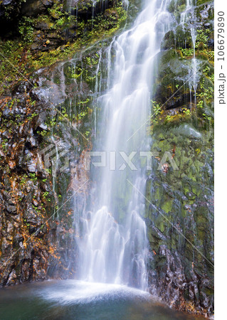 幕滝の滝壺(縦) 幕滝の滝壺(縦) 106679890