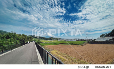 緑のトンネル 南島原自転車歩行者専用道路 緑のトンネル 南島原自転車歩行者専用道路 106680304