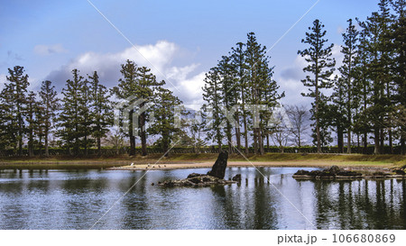 浄水をたたえる浄土庭園 浄水をたたえる浄土庭園 106680869