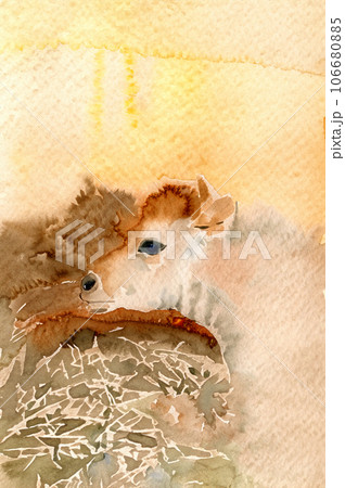 ジャージー牛・子牛の水彩画 106680885