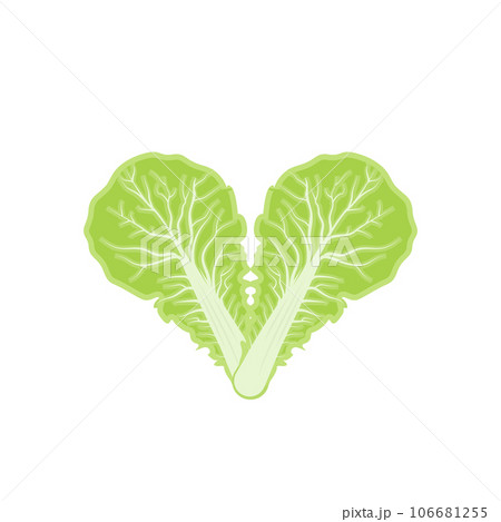 Kimchi Logo Design, Korean Traditional Food Vector, Cabbage Green Vegetable Logo Illustration, Company Brand Icon Kimchi Logo Design, Korean Traditional Food Vector, Cabbage Green Vegetable Logo Illustration, Company Brand Icon 106681255