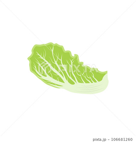Kimchi Logo Design, Korean Traditional Food Vector, Cabbage Green Vegetable Logo Illustration, Company Brand Icon 106681260