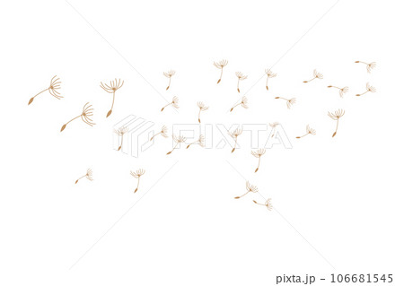 Dandelion Logo, Vector Plant Dandelion flower, Design Icon Template Dandelion Logo, Vector Plant Dandelion flower, Design Icon Template 106681545