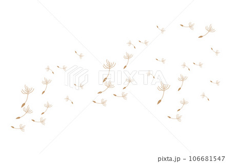 Dandelion Logo, Vector Plant Dandelion flower, Design Icon Template Dandelion Logo, Vector Plant Dandelion flower, Design Icon Template 106681547