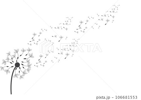 Dandelion Logo, Vector Plant Dandelion flower, Design Icon Template 106681553