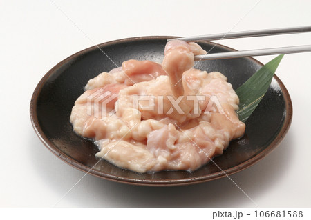 新鮮な牛ホルモン・おいしい牛ホルモン・牛小腸 新鮮な牛ホルモン・おいしい牛ホルモン・牛小腸 106681588