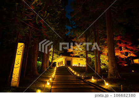 世界遺産~中尊寺金色堂ライトアップ&紅葉~ 世界遺産~中尊寺金色堂ライトアップ&紅葉~ 106682380