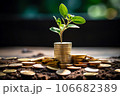 Seedling are growing on stack of coins on green nature environment background, financial, Investment, saving money and business growth for profit idea concept 106682389
