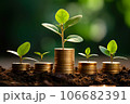 Seedling are growing on stack of coins on green nature environment background, financial, Investment, saving money and business growth for profit idea concept 106682391