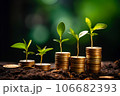 Seedling are growing on stack of coins on green nature environment background, financial, Investment, saving money and business growth for profit idea concept 106682393