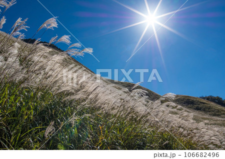 ススキの名所【曽爾高原・奈良県】 ススキの名所【曽爾高原・奈良県】 106682496