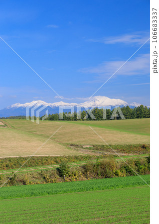 北海道_農場の丘と大雪山系の山々の風景 106683337