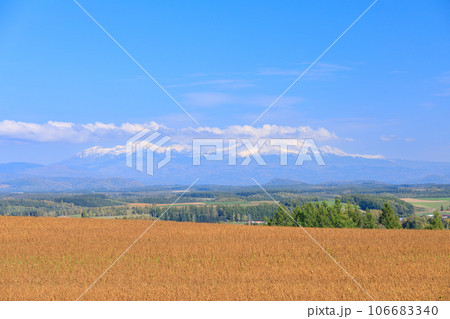 北海道_農場の丘と大雪山系の山々の風景 北海道_農場の丘と大雪山系の山々の風景 106683340