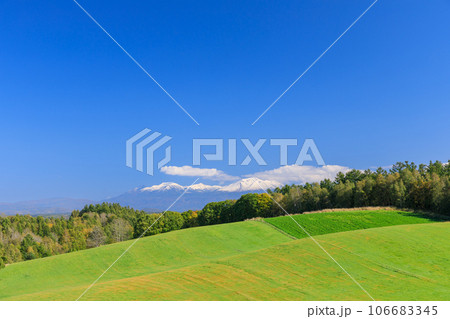 北海道_農場の丘と大雪山系の山々の風景 北海道_農場の丘と大雪山系の山々の風景 106683345