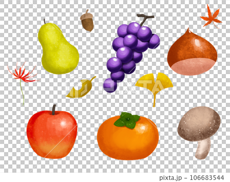 Autumn taste fruit 106683544