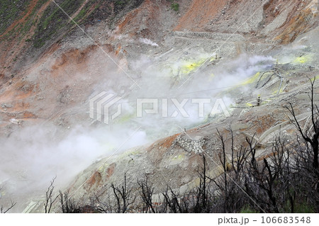 雨に煙る箱根大涌谷 神奈川県 雨に煙る箱根大涌谷 神奈川県 106683548