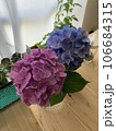 紫陽花 106684315