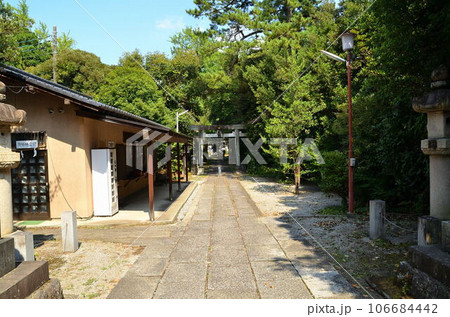 埼玉県行田市　歴史の町の忍東照宮　諏訪神社 106684442