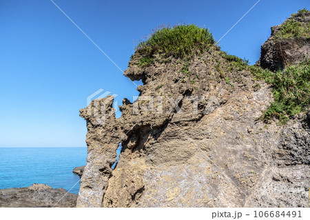 大田区大成の海 大田区大成の海 106684491