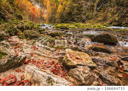 Vintgar gorge, Slovenia 106684733