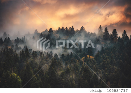 Misty mountain landscape 106684757