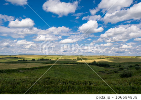 Green grass field on small hills and blue sky with clouds. Agricultural field with sky and clouds. The rural nature of farms. Straw in the meadow. Rural natural landscape. The grain harvest 106684838