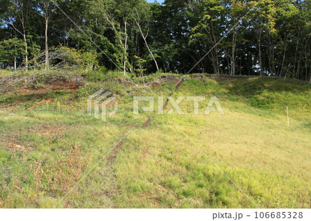 北海道厚真町 獣道(鹿) 北海道厚真町 獣道(鹿) 106685328