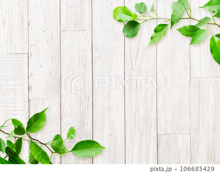 明るく淡い白木色の木目の粗い製材の古びた板壁に緑の葉が飾られた背景画像6-2 106685429