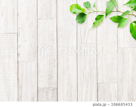 明るく淡い白木色の木目の粗い製材の古びた板壁に緑の葉が飾られた背景画像2-2 106685433