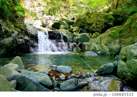 神ノ川支流の矢駄沢を遡行してヤマメとイワナを釣る 神ノ川支流の矢駄沢を遡行してヤマメとイワナを釣る 106685533