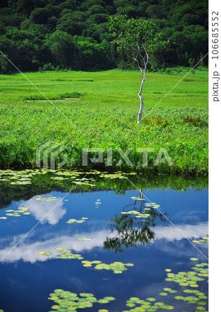 夏の尾瀬ヶ原から池塘に映る雲 106685552