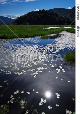 夏の尾瀬ヶ原から池塘に映る太陽 106685561