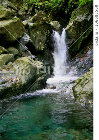 神ノ川支流の矢駄沢を遡行してヤマメとイワナを釣る 神ノ川支流の矢駄沢を遡行してヤマメとイワナを釣る 106685569