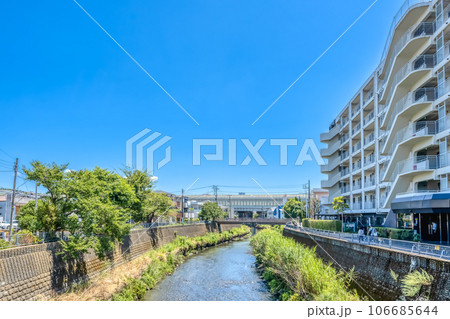 神奈川県横浜市の都市風景　和田町駅　帷子川 106685644