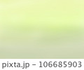背景素材　新緑の頃の川辺のイメージ　ナチュラルな色合い　色薄め 106685903