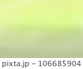 背景素材　新緑の頃の川辺のイメージ　ナチュラルな色合い 106685904
