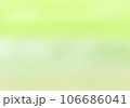 背景素材　新緑の頃の奥入瀬渓流のイメージ　ナチュラルな色合い　色薄め 106686041
