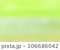 背景素材　新緑の頃の奥入瀬渓流のイメージ　ナチュラルな色合い 106686042