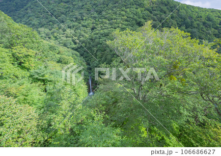 快晴の那須高原、平成の森 快晴の那須高原、平成の森 106686627