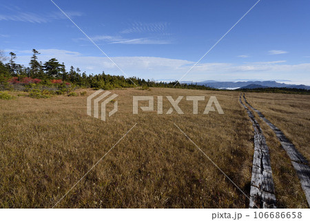 帝釈山から田代山へ、登山、福島県 106686658