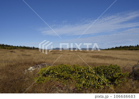 帝釈山から田代山へ、登山、福島県 106686683