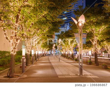 神戸ガス燈通りのイルミネーション夜景 神戸ガス燈通りのイルミネーション夜景 106686867
