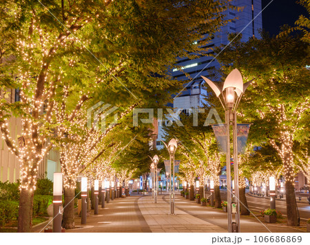 神戸ガス燈通りのイルミネーション夜景 神戸ガス燈通りのイルミネーション夜景 106686869