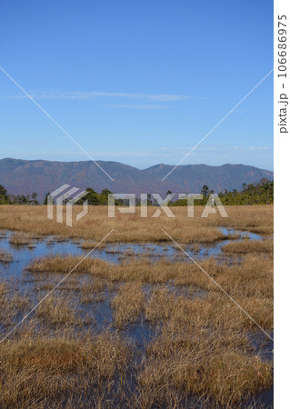 帝釈山から田代山へ、登山、福島県 帝釈山から田代山へ、登山、福島県 106686975