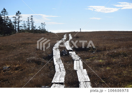 帝釈山から田代山へ、登山、福島県 帝釈山から田代山へ、登山、福島県 106686978