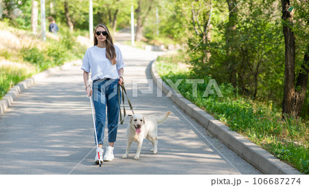 Blind woman walking with guide dog in the park.  106687274