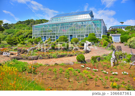 伊豆半島・南伊豆・爪木崎・爪木崎花園の見どころ、四季折々の花が咲き乱れる温室・静岡県下田市(1) 106687361